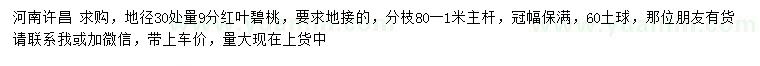 求購地徑30量9分紅葉碧桃