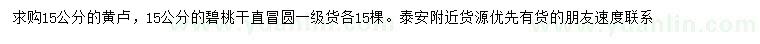 求購15公分黃櫨、碧桃