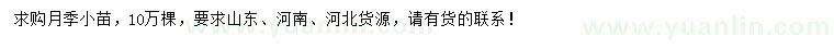 求購(gòu)月季小苗