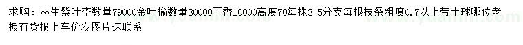 求購叢生紫葉李、金葉榆、丁香