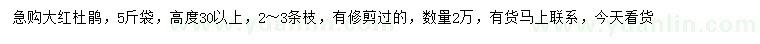 求購高30公分以上紅杜鵑