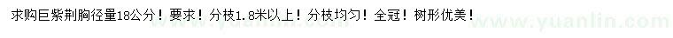 求購胸徑量18公分巨紫荊
