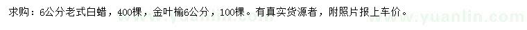 求購(gòu)6公分老式白蠟、金葉榆