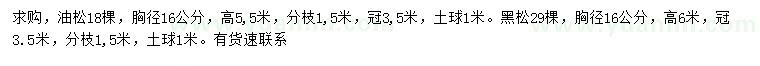 求購(gòu)胸徑16公分油松、黑松