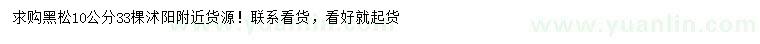 求購10公分黑松