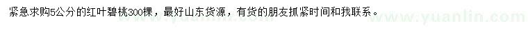 求購5公分紅葉碧桃