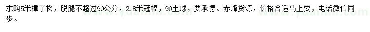 求購5米樟子松