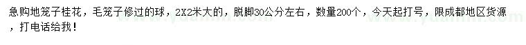求購2*2米地籠子桂花