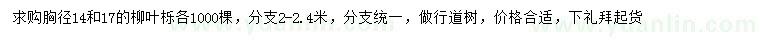 求購胸徑14、17公分柳葉櫟