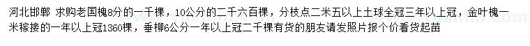 求購(gòu)老國(guó)槐、金葉槐、垂柳