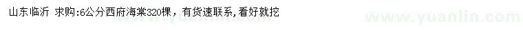 求購6公分西府海棠
