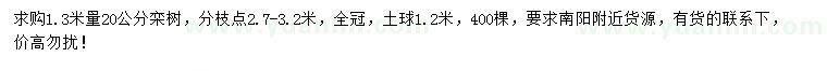 求購1.3米量20公分欒樹