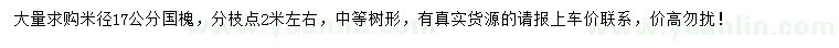 求購米徑17公分國槐