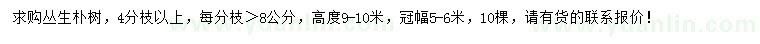 求購高度9-10米叢生樸樹