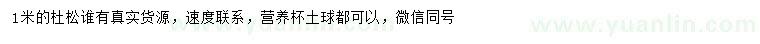 求購1米杜松