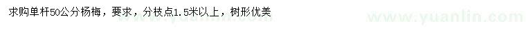 求購50公分楊梅