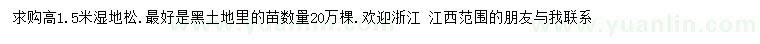 求購高1.5米濕地松