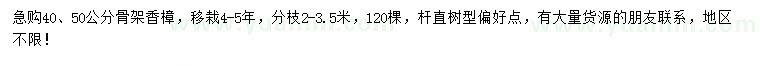 求購40、50公分香樟