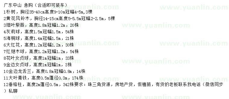 求購樸樹、黃花風(fēng)鈴木、細(xì)葉紫薇等