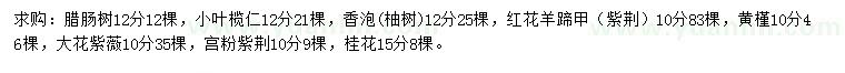 求購(gòu)臘腸樹(shù)、小葉欖仁、香泡等