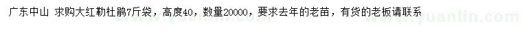 求購高度40公分大紅勒杜鵑