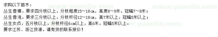 求購(gòu)叢生香樟、叢生香泡、叢生女貞