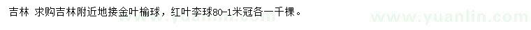 求購冠幅80-100公分金葉榆球，紅葉李球