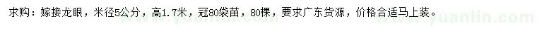 求購米徑5公分嫁接龍眼