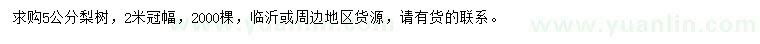 求購5公分梨樹