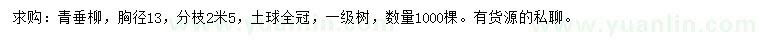 求購胸徑13公分青垂柳