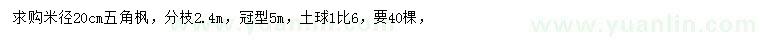 求購米徑20公分五角楓