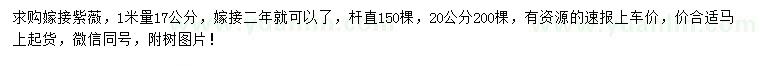 求購17、20公分嫁接紫薇