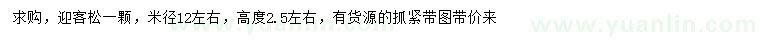 求購米徑12公分左右迎客松