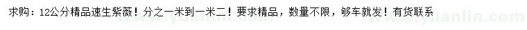 求購(gòu)12公分精品速生紫薇