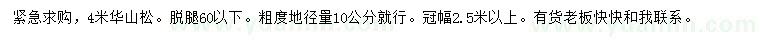 求購(gòu)4米華山松