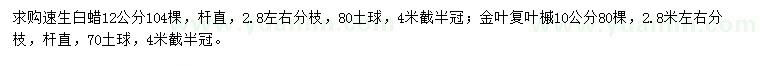 求購12公分速生白蠟、10公分金葉復葉槭