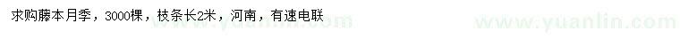 求購藤本月季