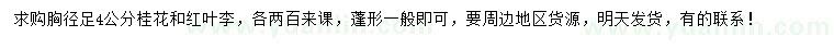 求購胸徑足4公分桂花、紅葉李