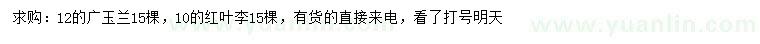 求購(gòu)12公分廣玉蘭、10公分紅葉李