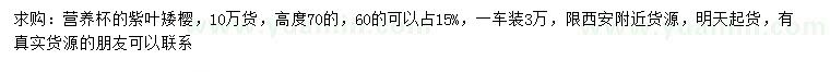 求購高70公分紫葉矮櫻