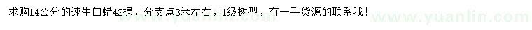 求購(gòu)14公分速生白蠟