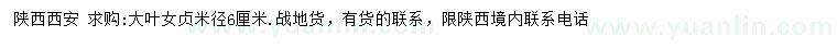 求購(gòu)米徑6公分大葉女貞