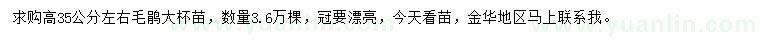 求購高35公分左右毛鵑