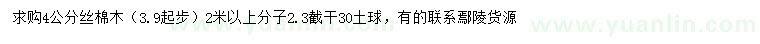 求購4公分絲棉木
