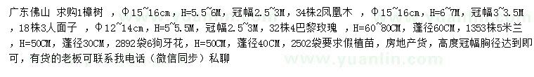 求購樟樹、鳳凰木、人面子等