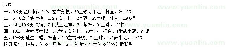 求購金葉榆、金葉槐、金葉復葉槭等