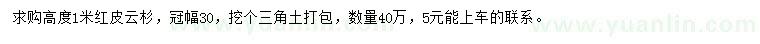 求購(gòu)高度1米紅皮云杉