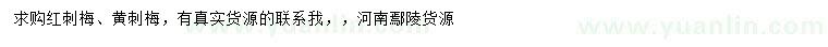 求購紅刺梅、黃刺梅