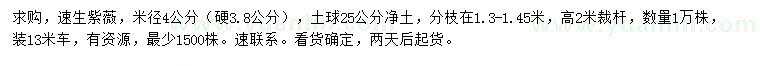 求購米徑4公分速生紫薇