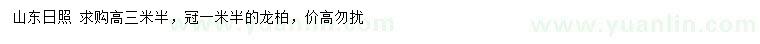 求購高3.5米龍柏